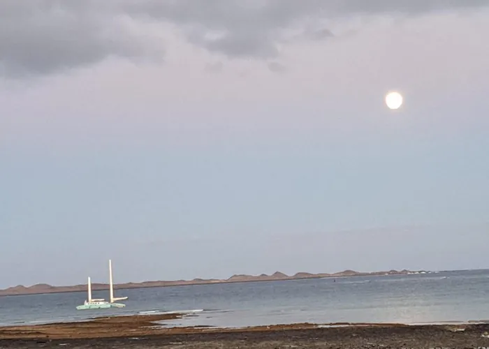 Ainely Κοραλέχο