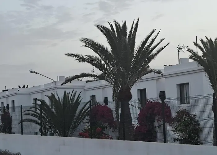 Ainely Κοραλέχο