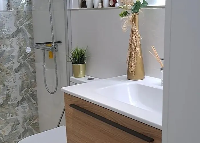 Ainely Κοραλέχο